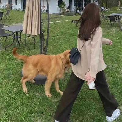 无名小姐